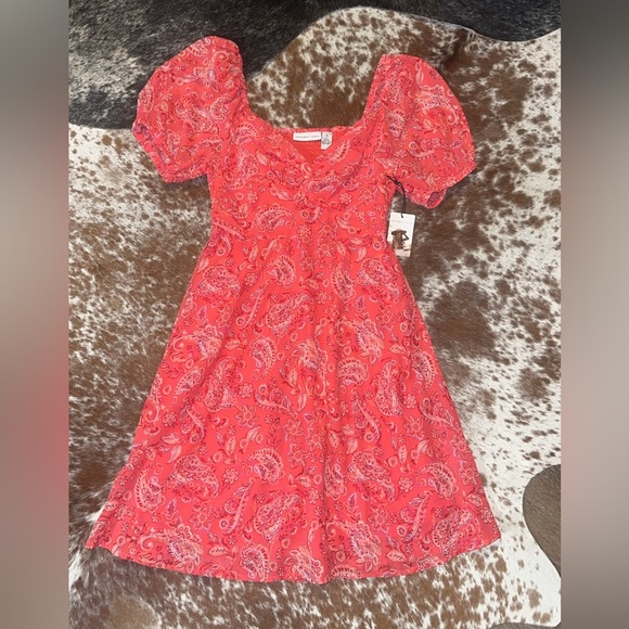Sincerely Jules Pink Paisley Dress - Picture 1 of 7